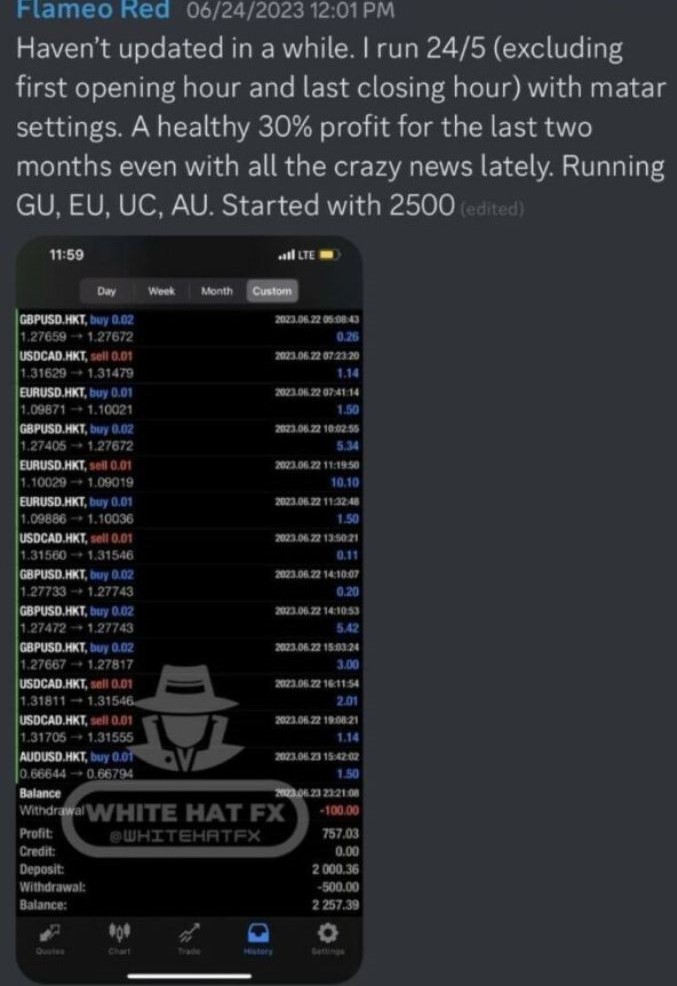 WHITE HAT FX EA v2.0 MT4 FOR BUILD 1420+ - Image 4