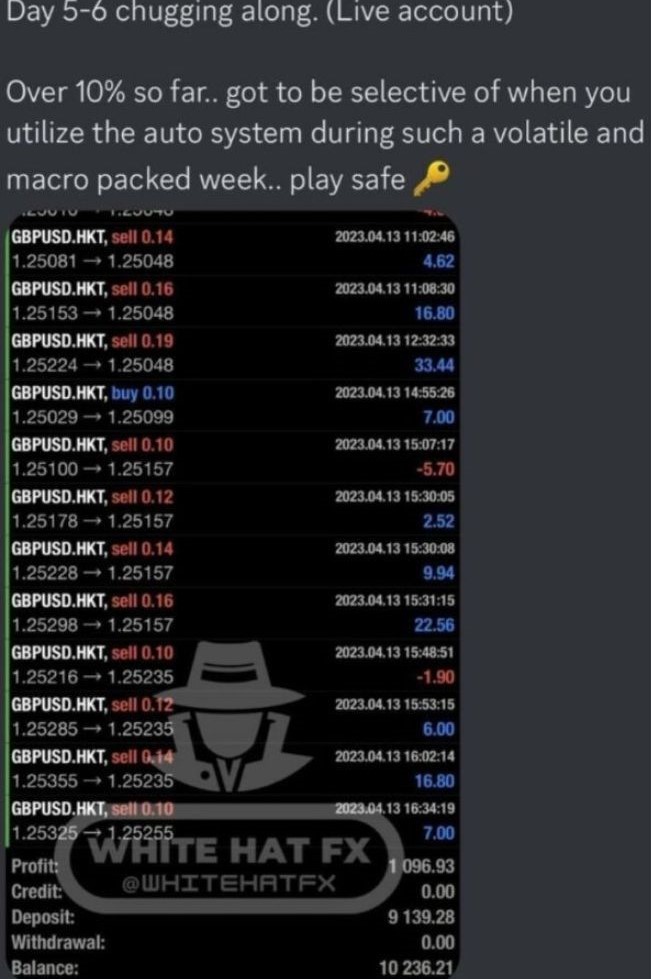 WHITE HAT FX EA v2.0 MT4 FOR BUILD 1420+ - Image 3