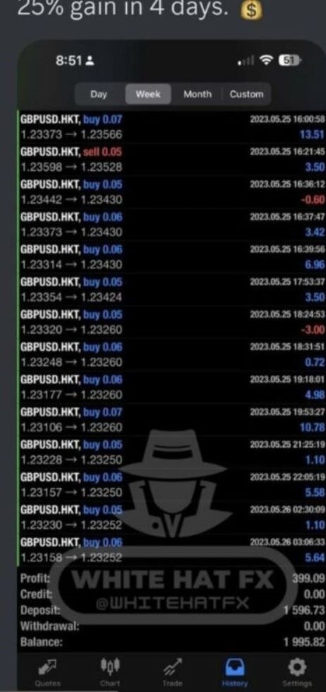 WHITE HAT FX EA v2.0 MT4 FOR BUILD 1420+ - Image 2