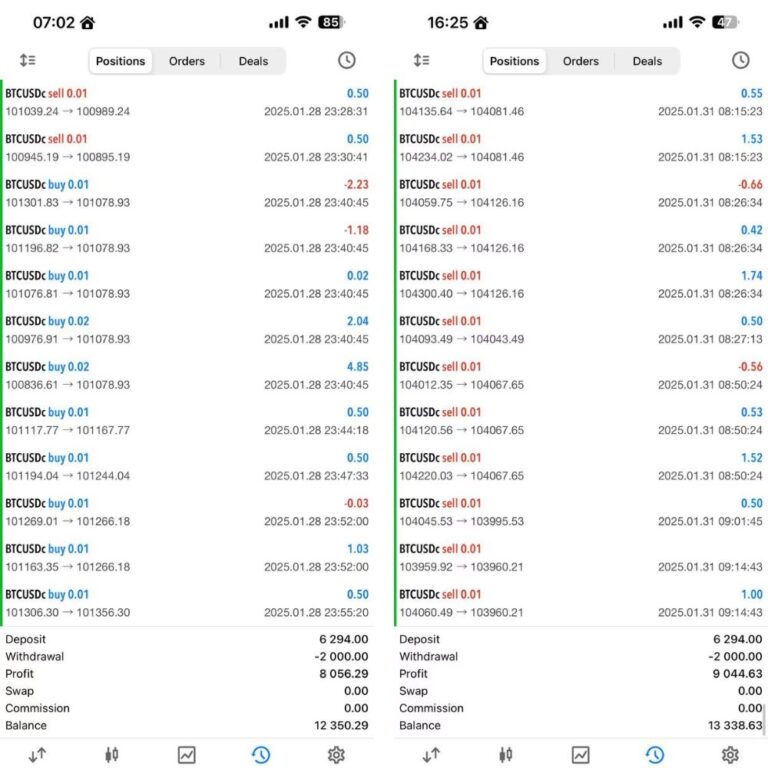 ELISE EA NEW VERSION MT4 & MT5 WITH SETFILES - Image 2