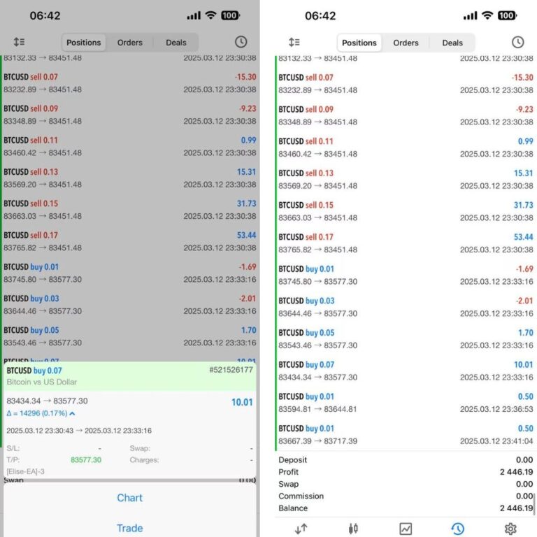 ELISE EA NEW VERSION MT4 & MT5 WITH SETFILES - Image 3
