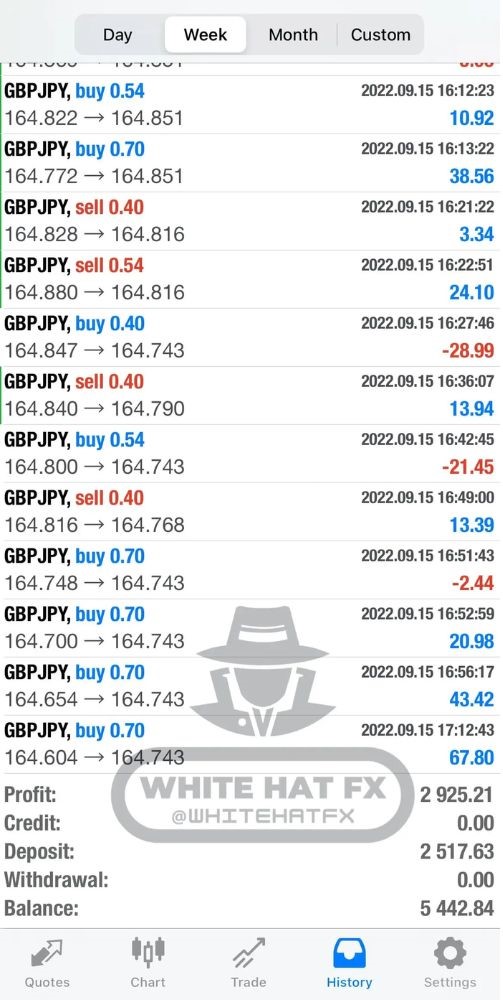 WHITE HAT FX EA V3.1 MT5 - Image 2