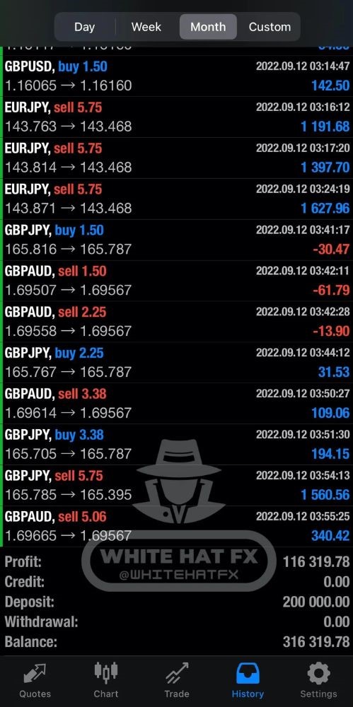 WHITE HAT FX EA V3.1 MT5 - Image 4