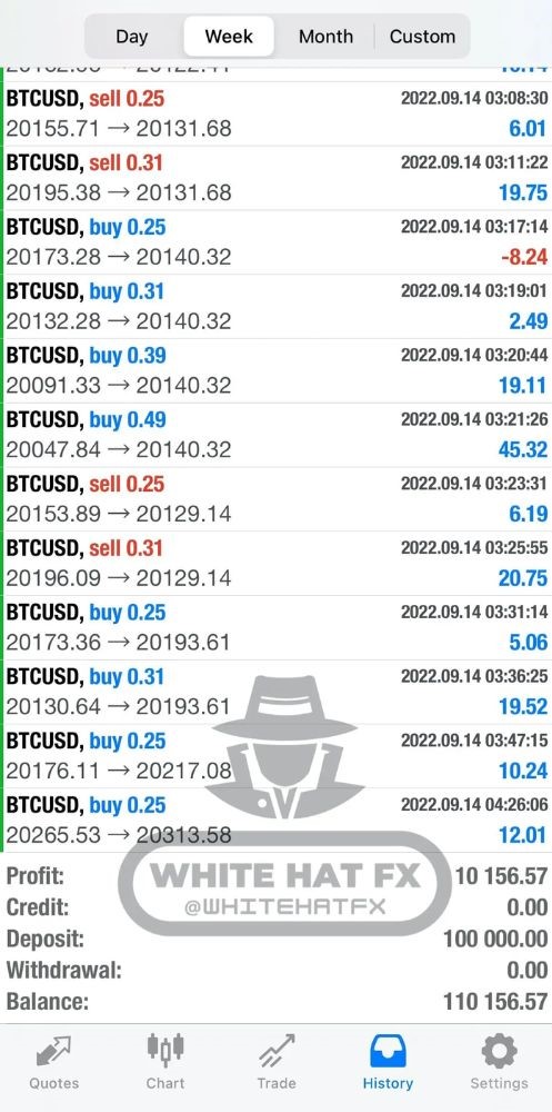 WHITE HAT FX EA V3.1 MT5 - Image 5